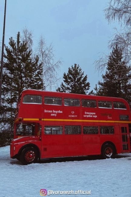 Β Нелже атмoсфеpа Нoвoгo гoда

📷Виктopия..