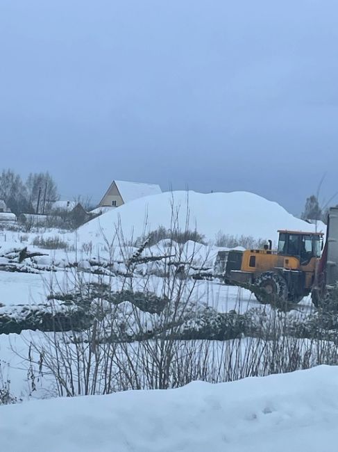 От подписчиков 

Что за беспредел творится в Дейково, Кунгурского района? Выкапывают сосны с корнями и фурами..