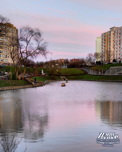 Балка Рябинина на Западном. Уточкам точно нравится такой тёплый декабрь..