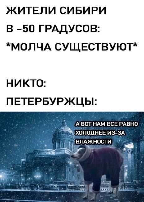 В окрестностях Петербурга минувшей ночью снова было красиво благодаря световым столбам. Такое явление..