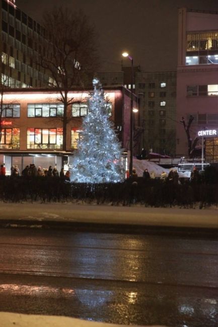 🎄 Пермские елочки.

Фото: Родион..