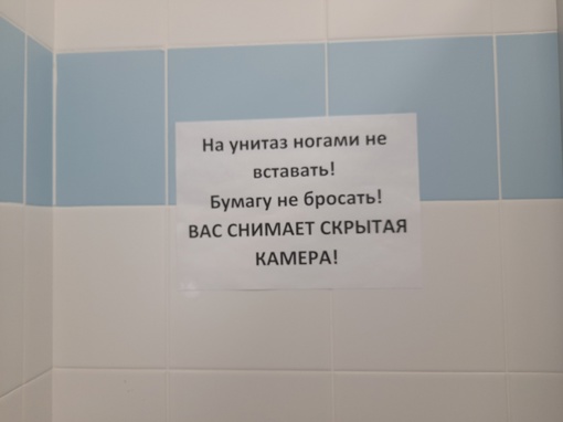 Петербуржца осудили за «призывы к экстремизму» в туалете

Василеостровский районный суд признал виновным в..