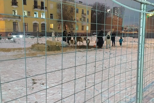 Группа избирателей из Самарской области поддержала выдвижение Владимира Путина на пост Президента РФ на..