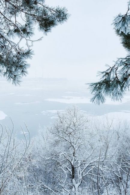 Морозная красота из Городецкого района

📸Ян Кемпи
..