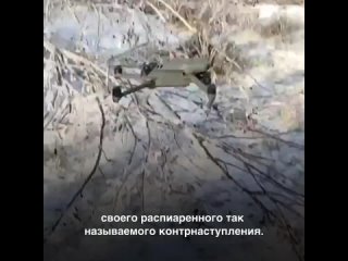 36% нижегородцев жалуются на сильную усталость перед Новым годом.

А вот наш президент не устает и успевает..