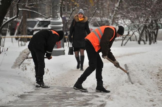 Мэр Новосибирска потребовал очистить пешеходные зоны от снега

Исполняющая обязанности руководителя..