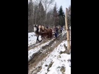 В Петербурге задержали хулиганов, избивших инвалида СВО

Инцидент произошёл минувшим вечером в Биржевом..