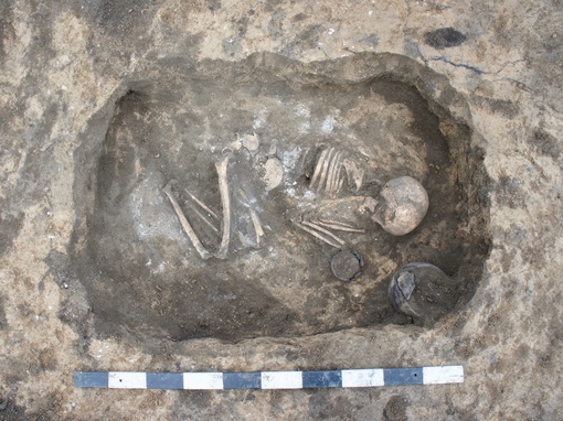 В Волгоградской области случайно обнаружили древнюю могилу сарматов ориентировочно 1 века нашей эры ⚰️

🌟..