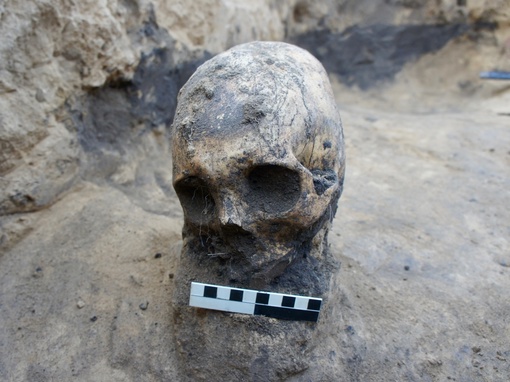 В Волгоградской области случайно обнаружили древнюю могилу сарматов ориентировочно 1 века нашей эры ⚰️

🌟..