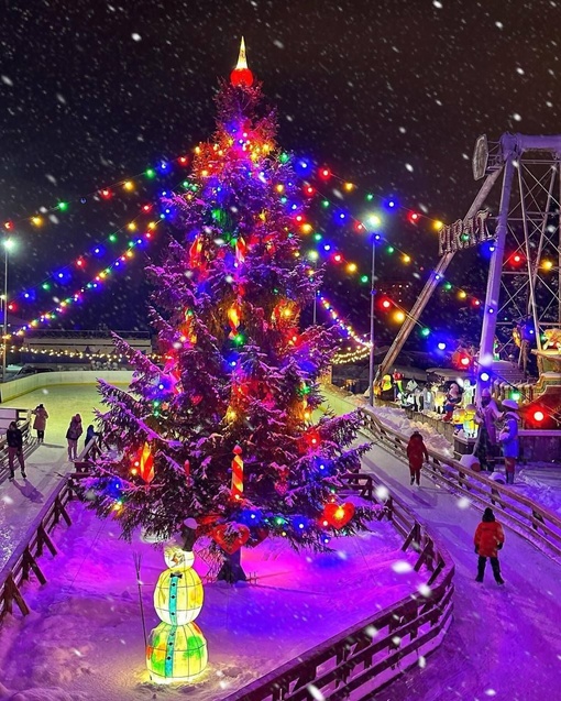 🎄Южно-Приморский..