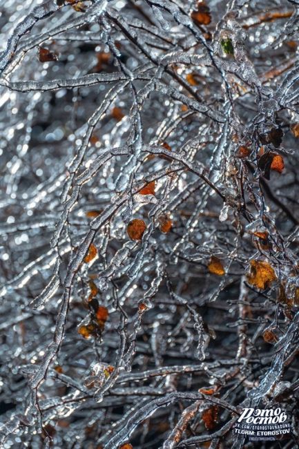 🍒 Не так уж и плох ледяной дождь, если вглядеться поближе в красоту на..