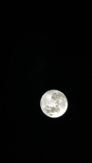 Луна сегодня ночью была..