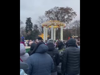 Главную городскую ёлку в Ростове открыли..