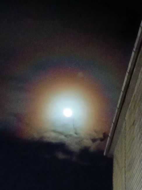 Сегодня ночью луна была будто «в радуге»! Явление заметили в Батайске..
