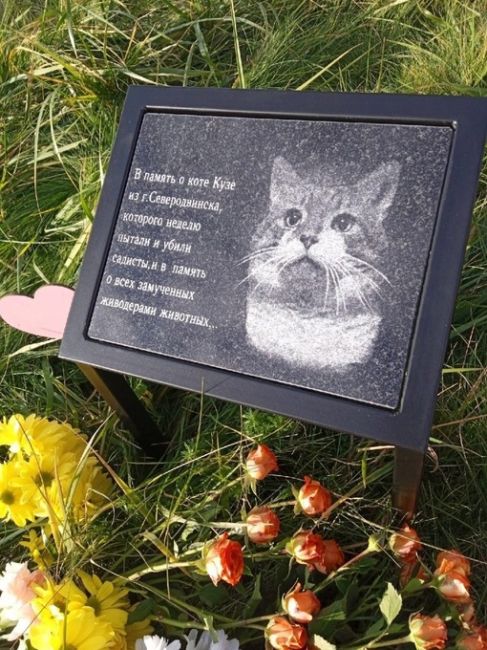 ‼️На СВО погиб живодер, осуждённый за убийство кота

Жестокое убийство кота Кузи в Северодвинске произошло..