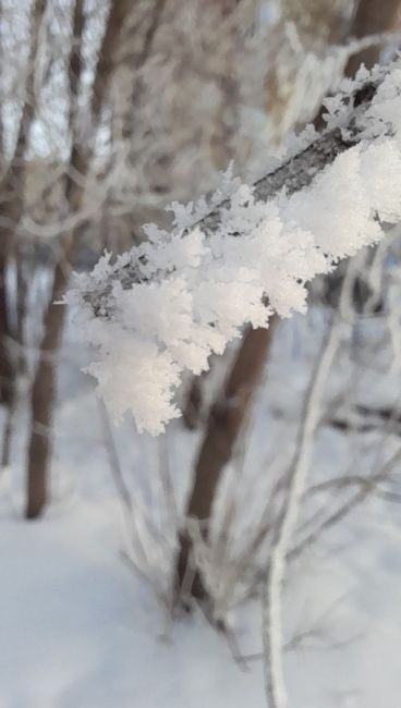 Зимняя сказка от пермячки 😍 Все покрылось..