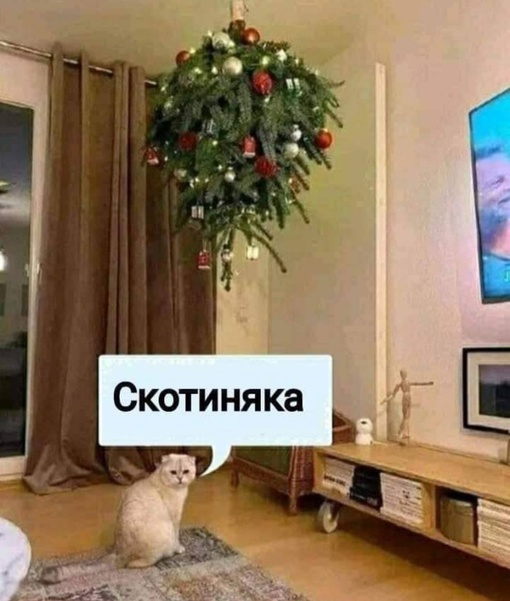 Типичные кот под Новый год. 

Домашний..