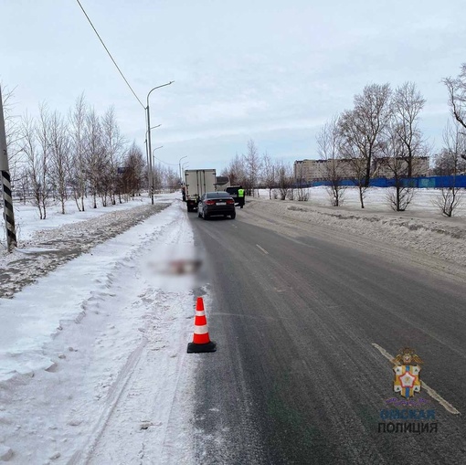 Автобус, который вез омских школьников в зоопарк, насмерть сбил косулю

Дети ехали в Большереченский..