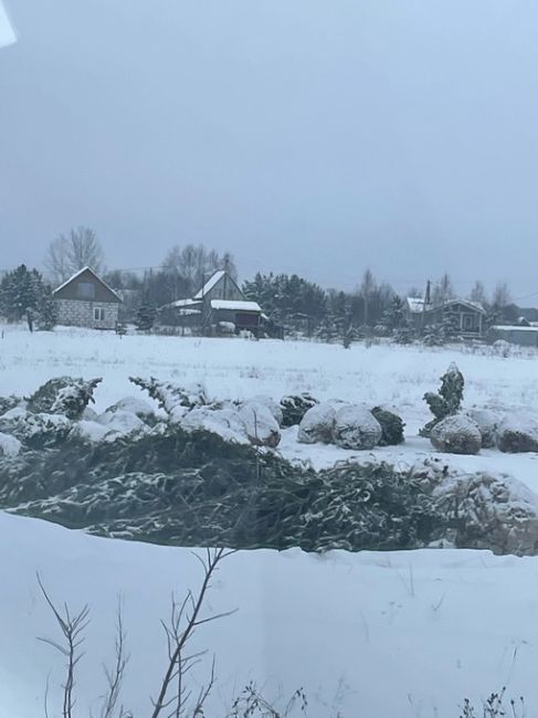 От подписчиков 

Что за беспредел творится в Дейково, Кунгурского района? Выкапывают сосны с корнями и фурами..