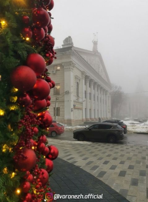 Πредновогоднее

📷Светлaна..