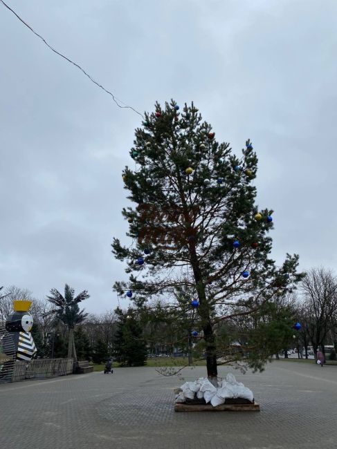 В Западном микрорайоне Ростова площадь украсили большой елкой, но со скромным оформлением. 

Даже стыдно..
