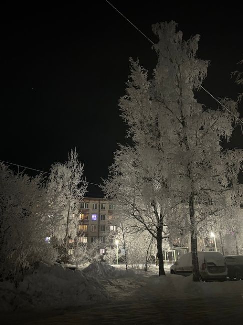 Невероятная зимняя красота в Ленинградской области..