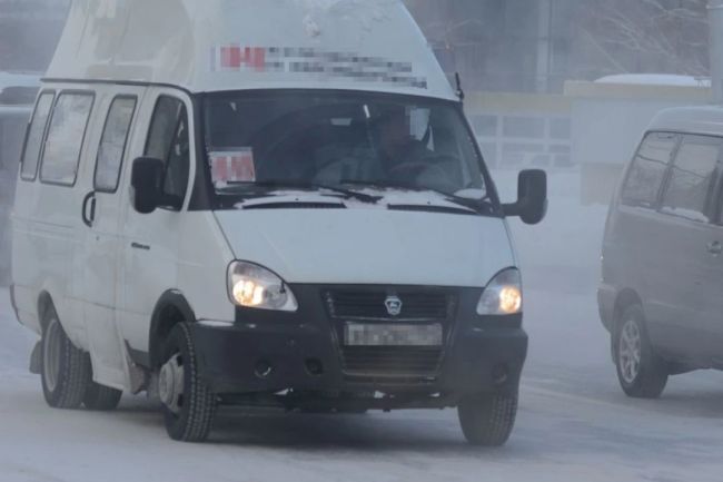 «Высадил на трассе, прямо в снег»: в Новосибирске водитель маршрутки высадил ребенка-инвалида на..