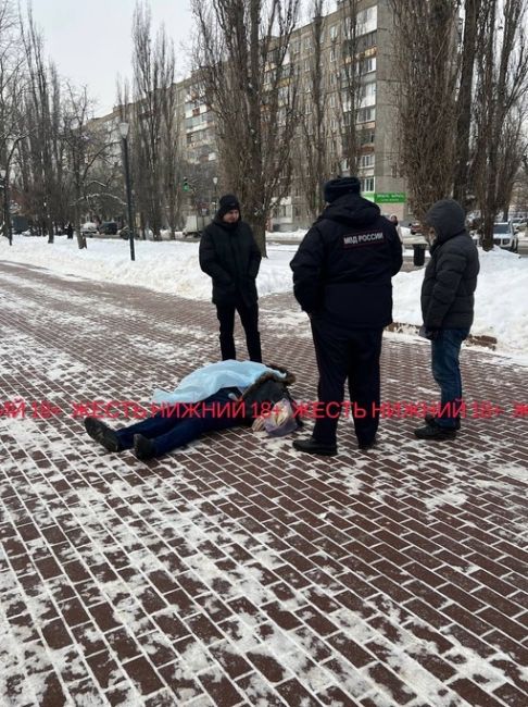 🗣️ Трагедия в Сормово— на улице Кораблестроителей, 3В обнаружен труп..