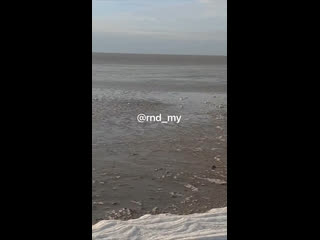 Из-за восточного ветра произошел отлив в Таганрогском заливе, вода ушла метров на..