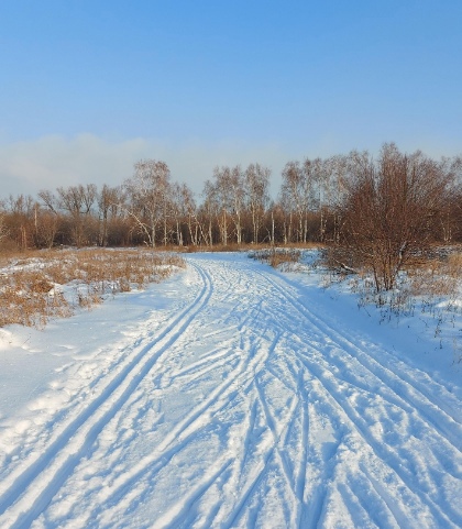 В Омске на лыжной базе внезапно умер 63-летний мужчина

В Омске силовики разбираются во всех нюансах смерти..