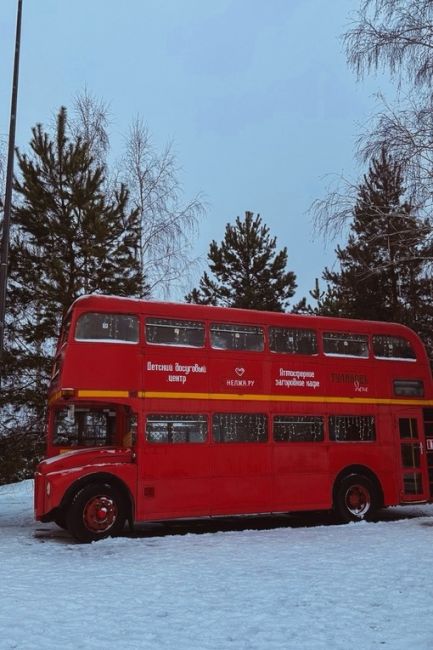 В Нелже атмосфера Нового года

📷Виктория..