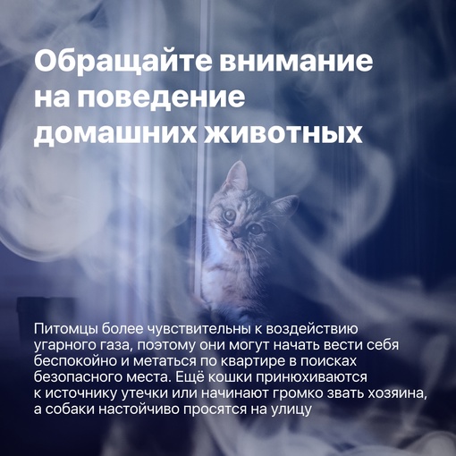 В Нижегородской области участились случаи отравления угарным газом
 
Это происходит из-за неправильной..