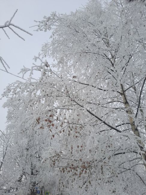 Ледяная красота на улицах Ростова..