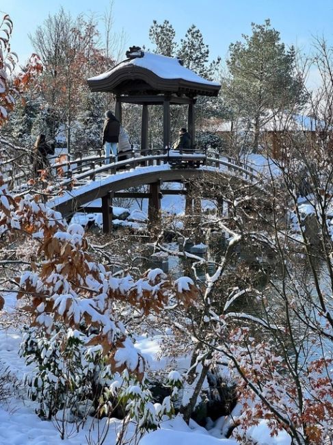 Первый снег в Японском саду 🏯 

Фото Юрий..