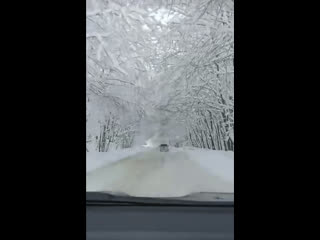 По дороге в Лаго Наки сегодня утром❄️
Видео:..