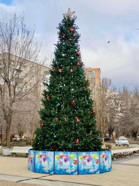 В парковой зоне на Тулака в Советском районе новогодняя ёлка уже радует местных жителей🎄🎉

Хорошенькая,..