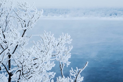 Морозная красота из Городецкого района

📸Ян Кемпи
..