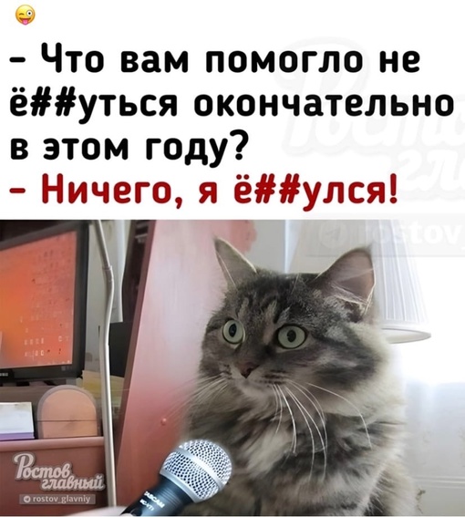 Ростовчанка возмущена равнодушием торгашей, которые демонстративно не убирают наледь у своих..