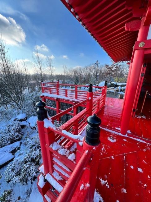 Первый снег в Японском саду 🏯 

Фото Юрий..