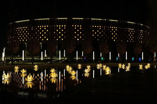 Зимние цветы на самом деле это светильники 😳в парке Галицкого

фото..