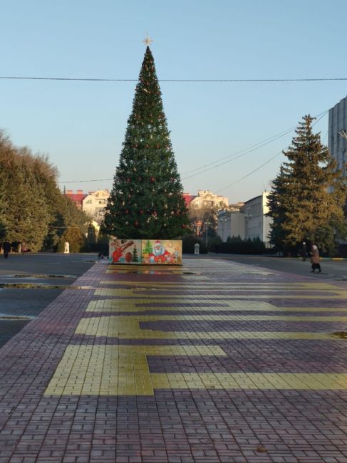 Елочку установили в центре Батайска 🌲 Новый год скоро..