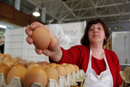 За 10 месяцев года в Ростовской области куры-несушки снесли на 4% меньше яиц, чем годом ранее. Это стало одной..