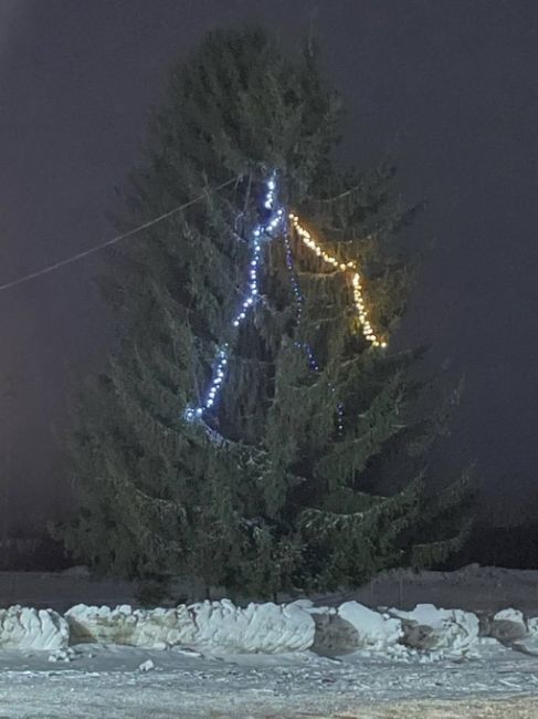 Когда денег хватило только на ёлку.
📍Ковернинский район

..