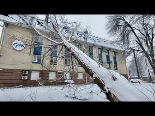 В Самаре дерево рухнуло на здание «Газпрома» 

ЧП произошло днем 30 декабря 2023 года, никто не пострадал.

Как..