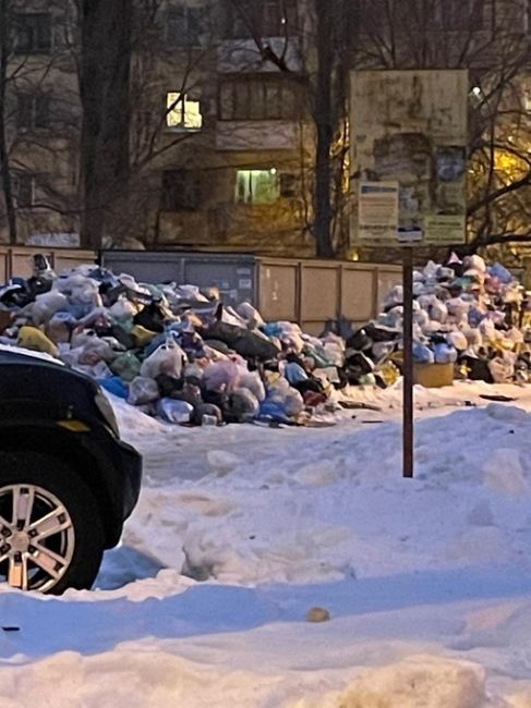 Очень много фотографий от подписчиков с невывезенным мусором. Фото с разных улиц Воронежа
Наверное..