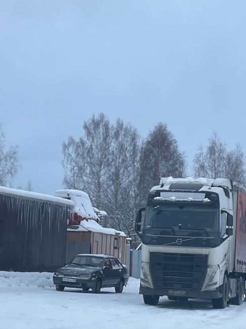 От подписчиков 

Что за беспредел творится в Дейково, Кунгурского района? Выкапывают сосны с корнями и фурами..