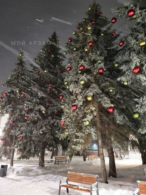 Посмотрите, как красиво украсили елочки на улице Карла Маркса в Арзамасе 

..