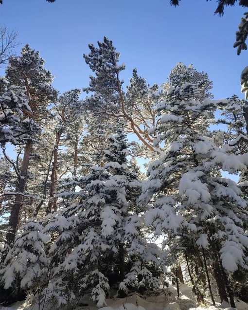 Настоящая зимняя сказка в Адыгее❄️
📍Урочище Курджипс, скала..