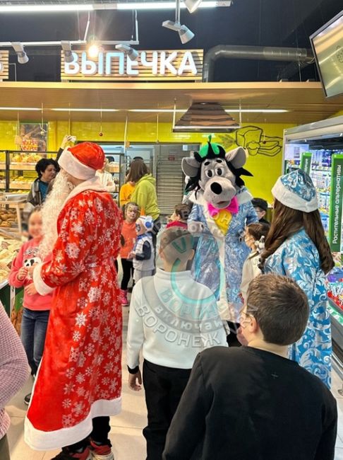 Волк развлекает воронежцев..