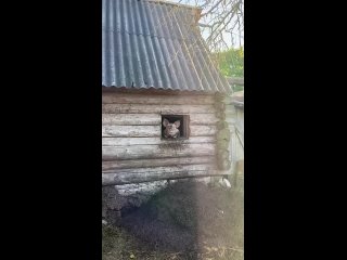 В соцсетях завирусилось видео, которое наглядно подтверждает то ощущение, что уже 20 лет испытывают россияне..